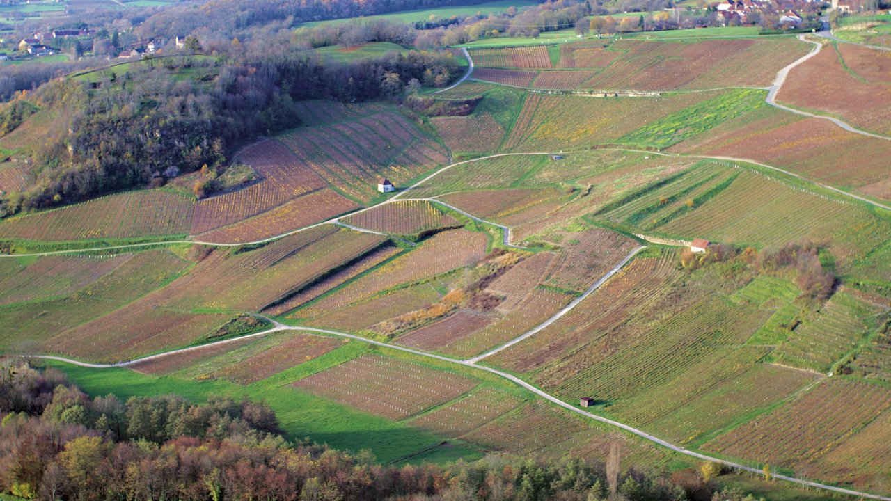View of Chateau-Chalon vineyards